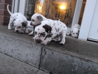 IMG_20250201_080331_1_web