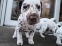 IMG_20250201_080415_web