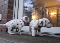 IMG_20250201_080428_web