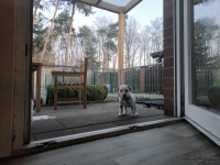 IMG_20250201_080541_web