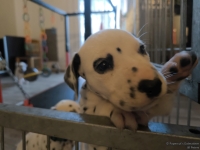 IMG_20250201_082210_web