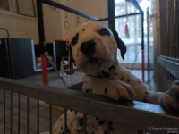 IMG_20250201_082213_web