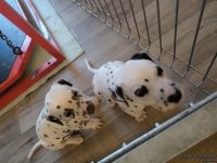 IMG_20250201_082220_web