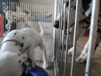 IMG_20250201_130626_web