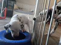 IMG_20250201_130631_web