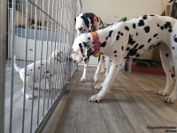 IMG_20250201_130758_web