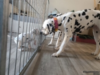 IMG_20250201_130759_web