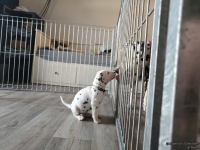 IMG_20250201_130804_web