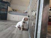 IMG_20250201_130806_web