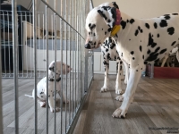 IMG_20250201_130811_web