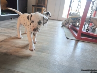 IMG_20250201_151723_web