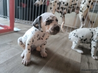 IMG_20250201_151732_web