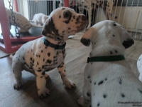 IMG_20250201_151741_web