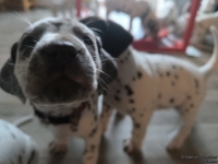 IMG_20250201_151803_web