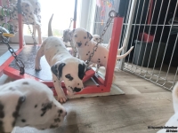 IMG_20250201_151837_web