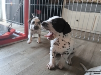 IMG_20250201_151851_1_web