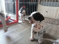 IMG_20250201_151851_web