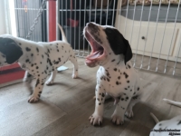 IMG_20250201_151852_web