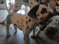 IMG_20250201_151858_web