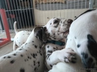 IMG_20250201_151901_web