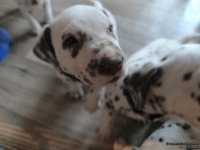 IMG_20250201_151913_web