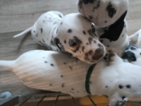 IMG_20250201_151917_web