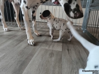 IMG_20250201_151923_web