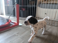 IMG_20250201_151925_web