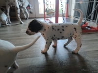 IMG_20250201_151928_web