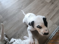 IMG_20250201_151940_web