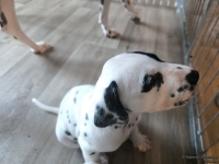 IMG_20250201_151941_web