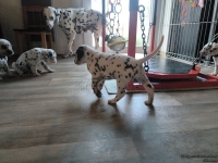 IMG_20250201_152003_web