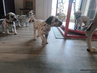 IMG_20250201_152006_1_web