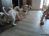 IMG_20250201_152013_web