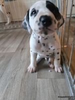 IMG_20250201_152057_web