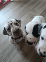 IMG_20250201_152104_web