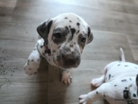 IMG_20250201_152107_web