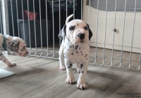 IMG_20250201_152115_web