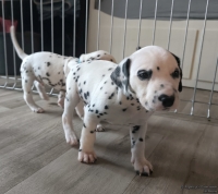 IMG_20250201_152117_web