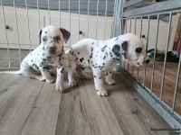 IMG_20250201_152125_web