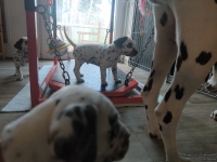 IMG_20250201_152129_web