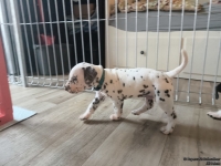 IMG_20250201_152132_web