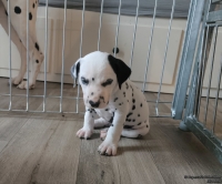 IMG_20250201_152142_web