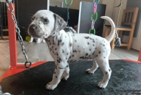 IMG_20250201_152348_web