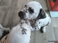 IMG_20250201_152444_web