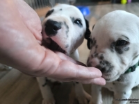 IMG_20250201_152518_web