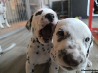 IMG_20250201_152523_web