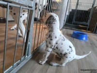 IMG_20250201_152529_web