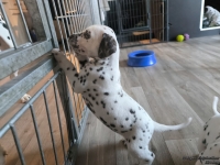 IMG_20250201_152533_web