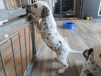 IMG_20250201_152534_web